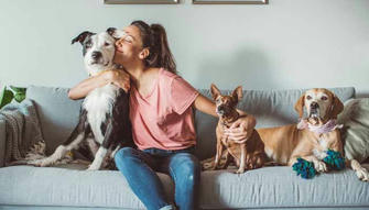 A Simple Guide to Multi-Pet Insurance: Protecting Your Pets and Your Wallet in 2025