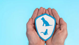 What Is the Cost of Pet Insurance in 2025? Complete Price Guide